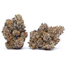 CHEETAH PISS 14G COOKIES FLOWER
