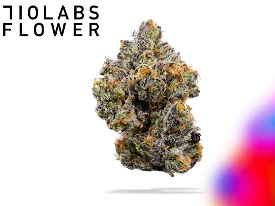 ZIMOSA #2 | FLOWER