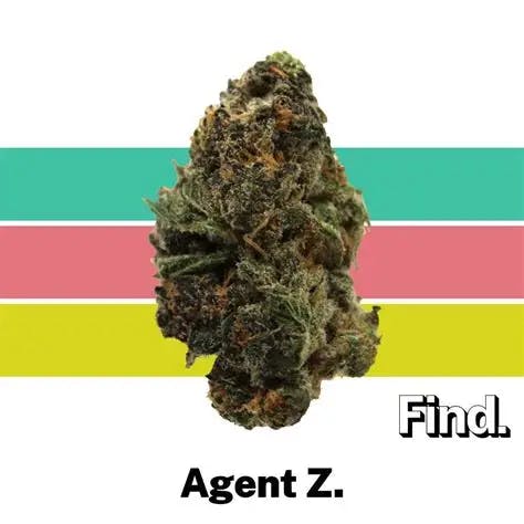FIND AGENT Z