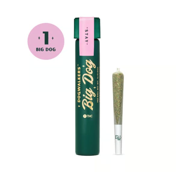 SWAMP WATER FUMEZ 1G | BIG DOGS (STAY)