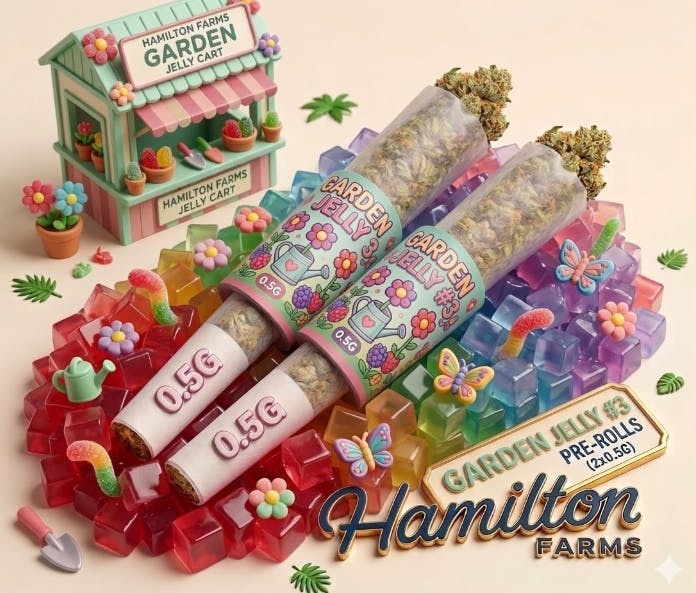 GARDEN JELLY #3 | 2PK × 0.5G PRE-ROLLS