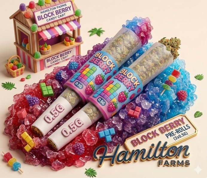 BLOCK BERRY | 2PK × 0.5G PRE-ROLLS