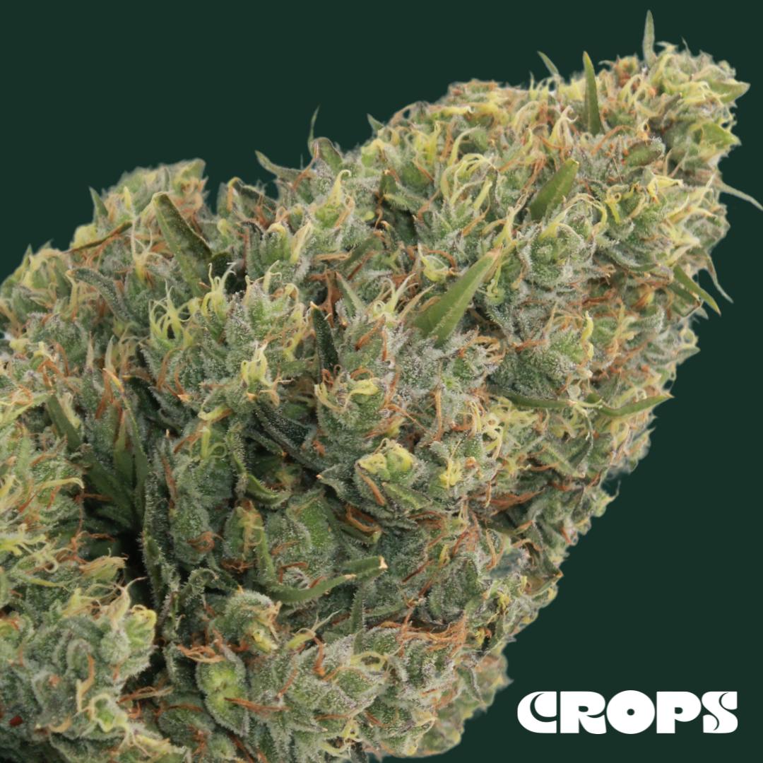 LIME OG 5G FLOWER JUSTICE GROWN