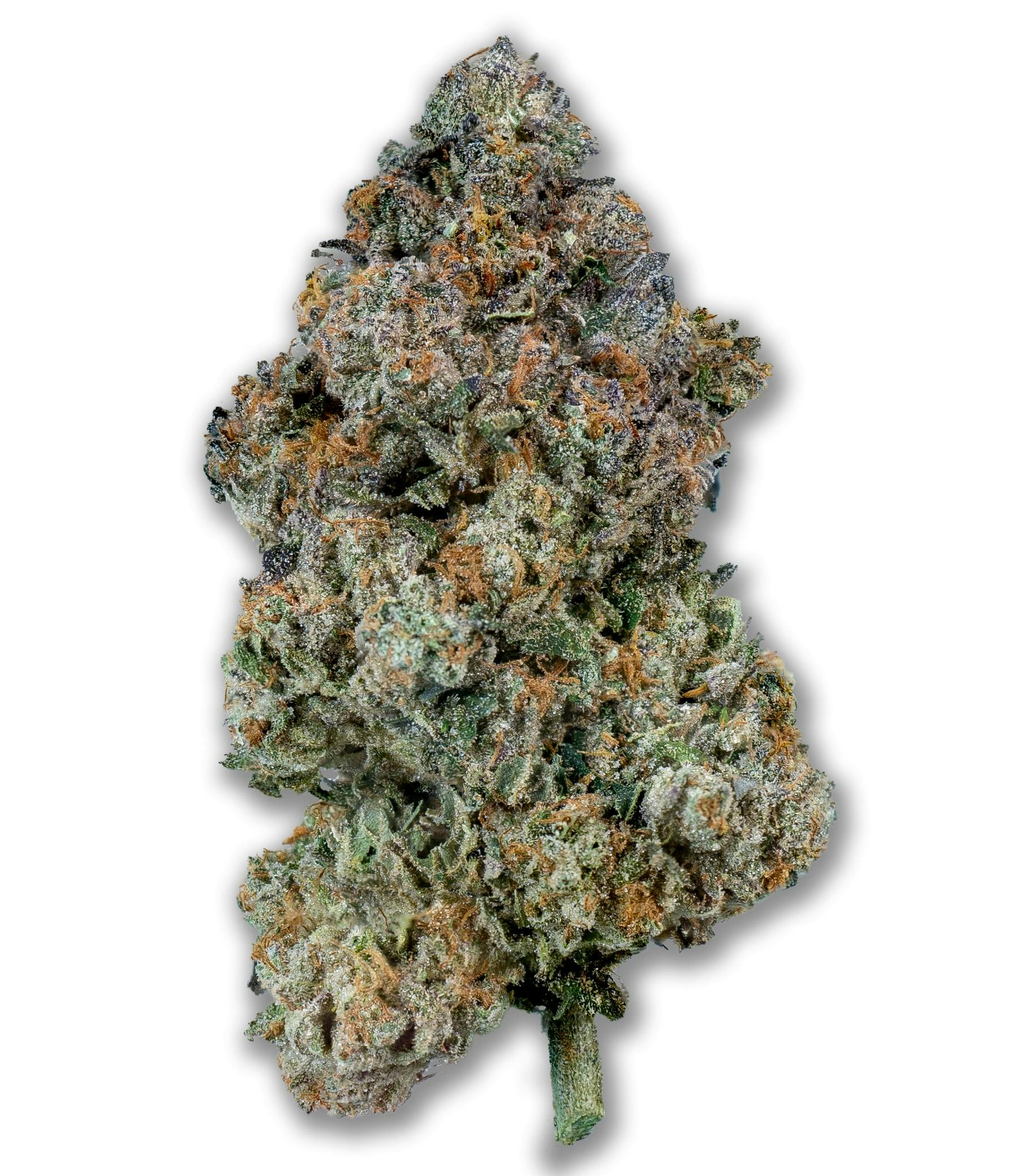 HIGH SOCIETY WHITE LABEL OUNCE