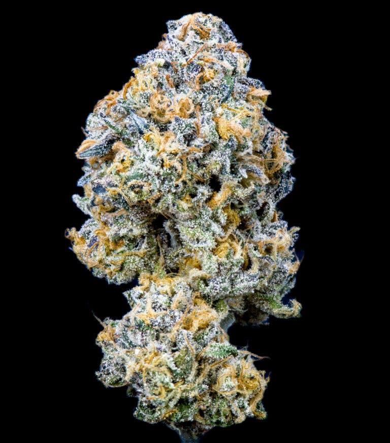 KOALA KUSH 3.5G FLOWER KUSALA CARE