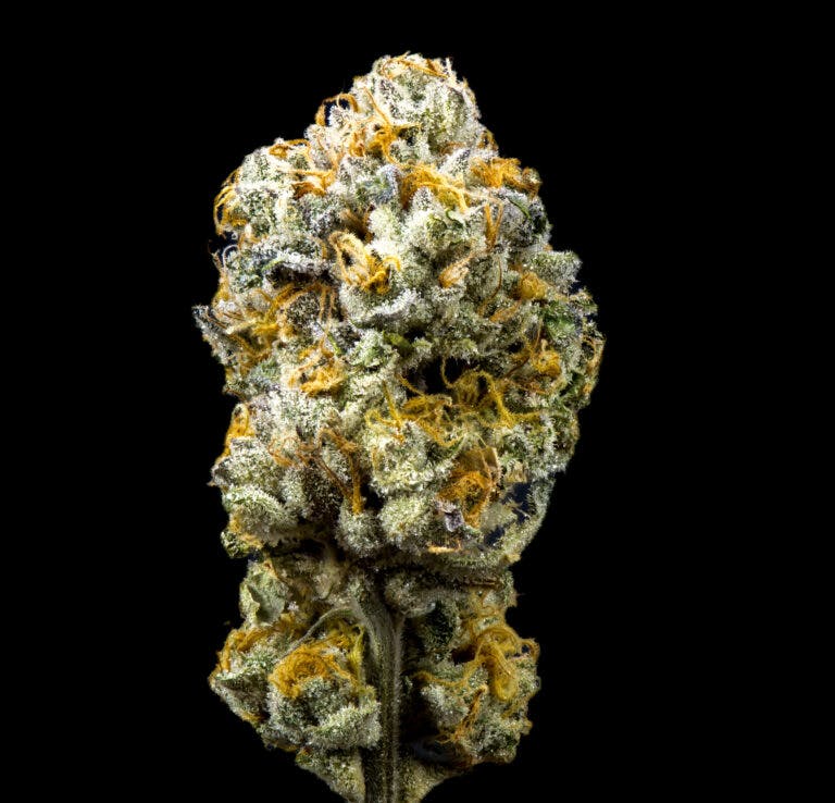 GARY PAYTON 3.5G FLOWER KUSALA CARE