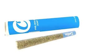 CINAMMON ROLLZ 1G COOKIES PREROLL