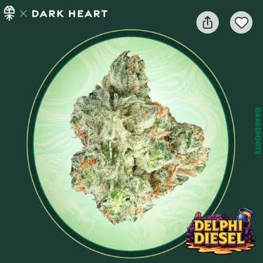 DELPHI DIESEL 5PK 2G