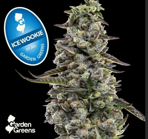 GARDEN GREENS ICE WOOKIE