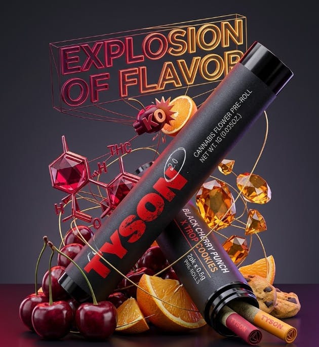 BLACK CHERRY PUNCH X TROP COOKIES | 2PK × 0.5G PRE-ROLLS