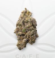 GARDEN GREENS RAINBOW GUAVA 3.5G | FLOWER