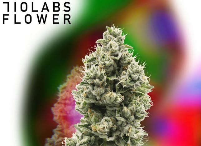 The Sweeties #7 - 3.5g Flower