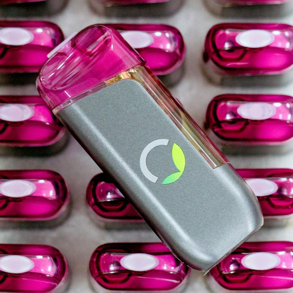 TROPICAL CHILL ARTISAN ICE SERIES | 2G DISPOSABLE | ALL IN ONE VAPE