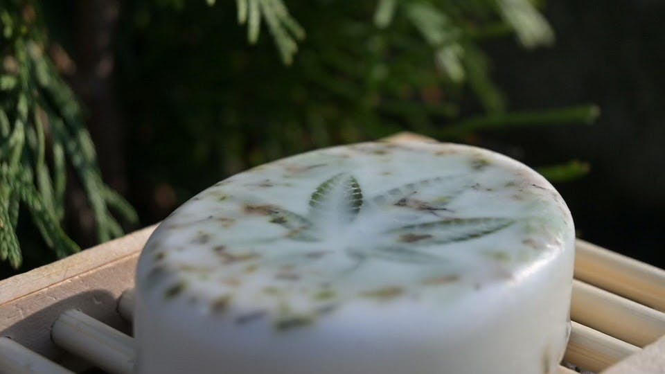 Canna Sudz | THC Infused Soap | 200mg