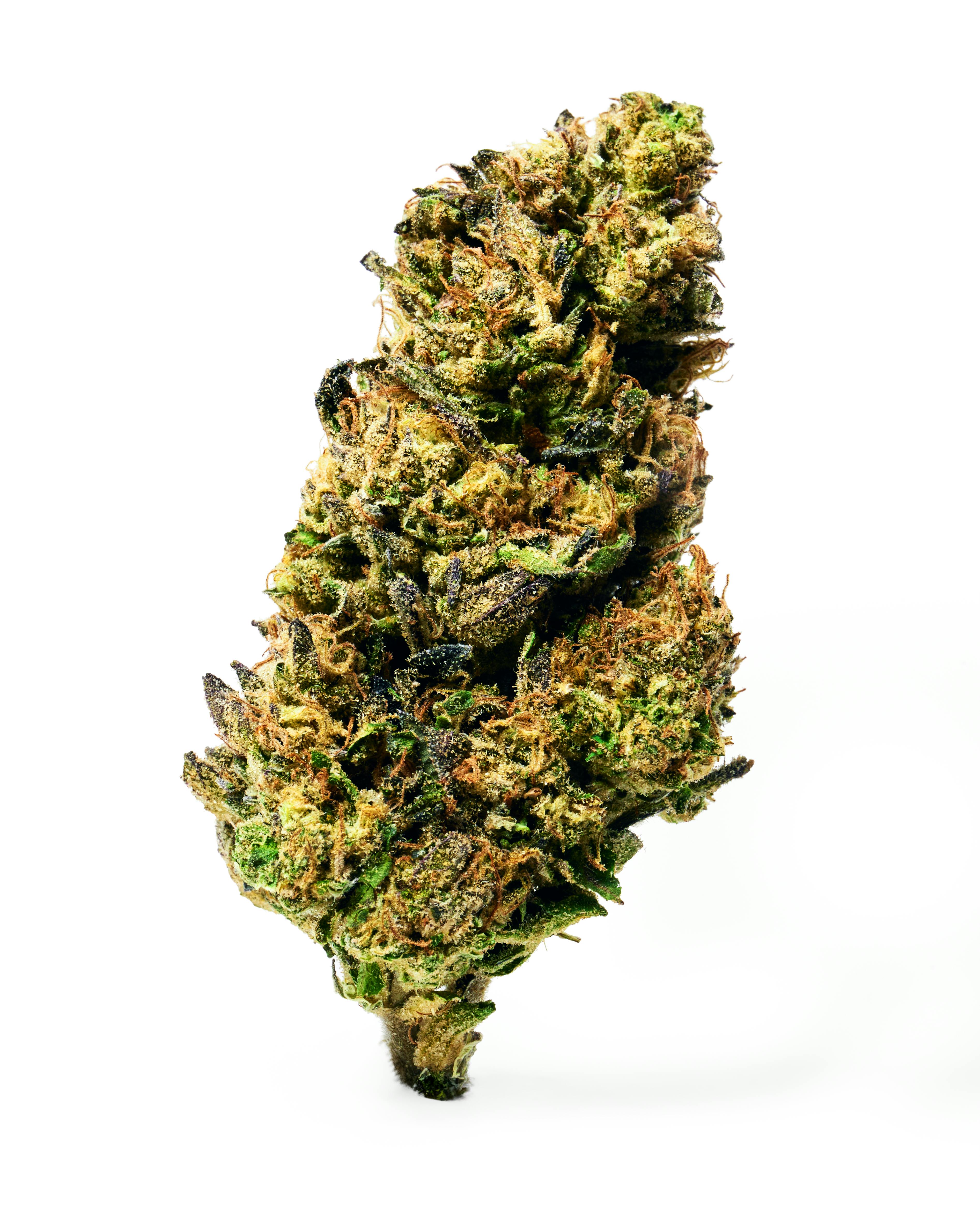 Dada Daily | Blue Nerdz | Flower | Indica | 7g