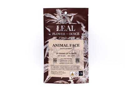 Animal Face