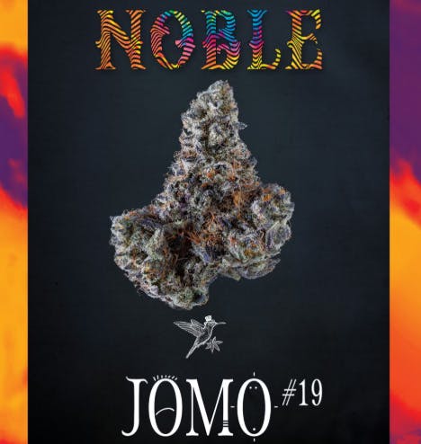 JOMO #19 | 7G