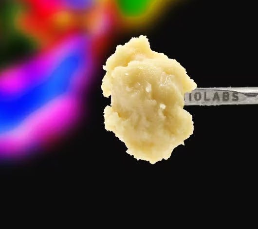 BLUEBERRY HAZE | LIVE ROSIN BADDER | 1G