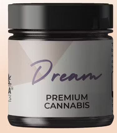 DREAM BUSTER BARZ | 3.5G