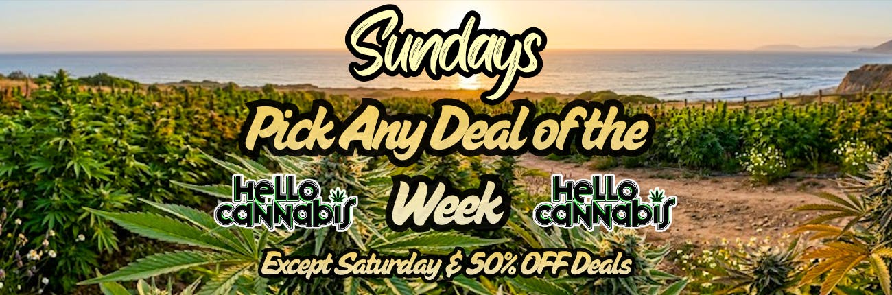 Sundays - Pick Any Deal of the Week