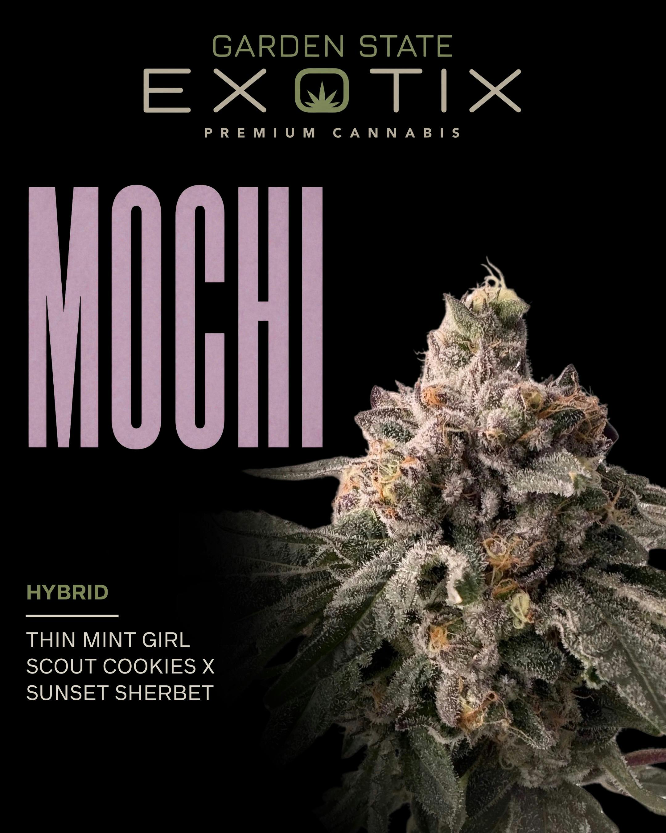 Mochi