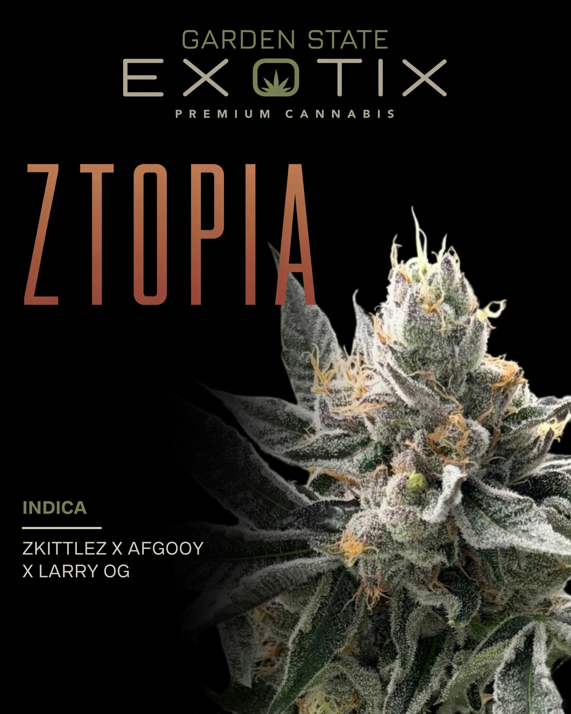 Ztopia