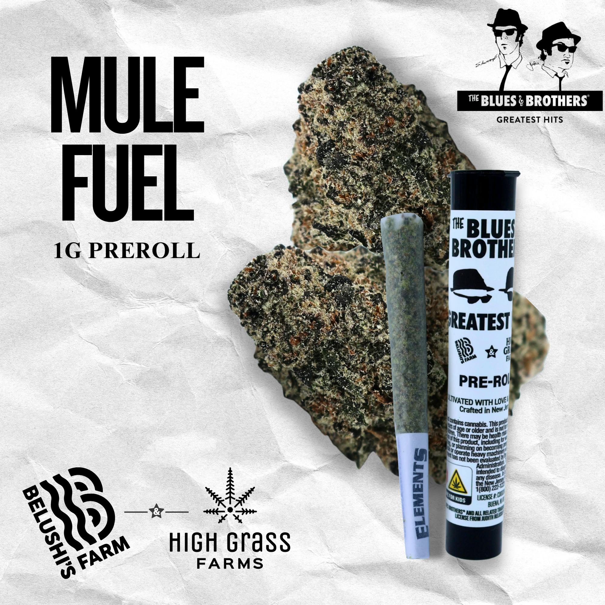 Mule Fuel Over And