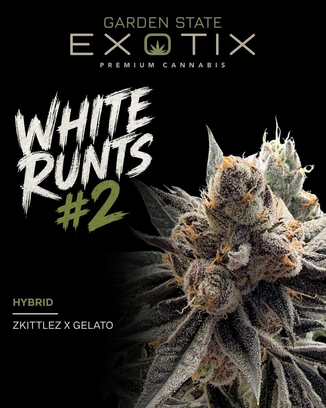 White Runtz #2
