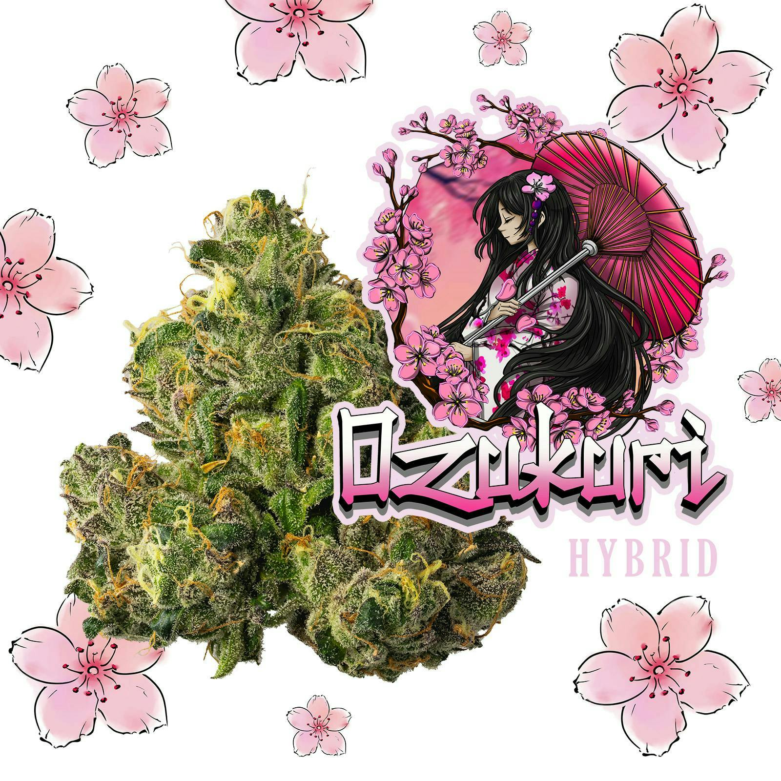 Ozukuri - 3.5g | All Flower | Lazy River Products | CommCan Millis
