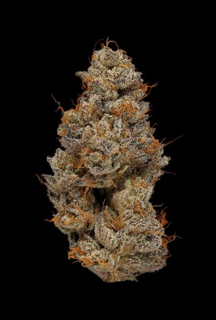 FIG BAR | 3.5G