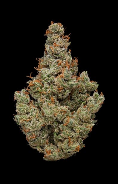 J1 (3.5G)