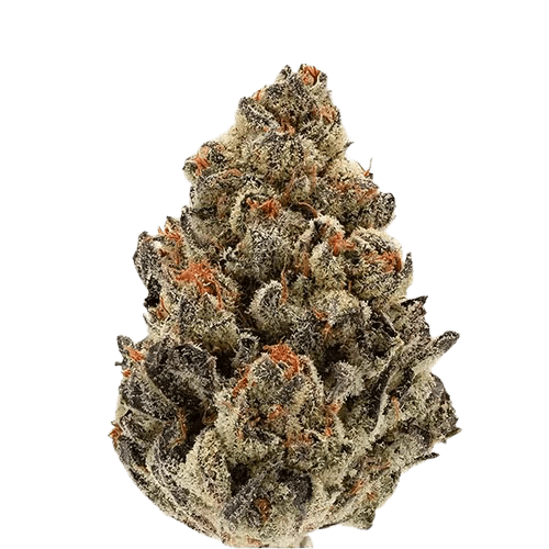 Blue Moon Dream - 1g | Flower | To The Moon | Good Grades (Rec