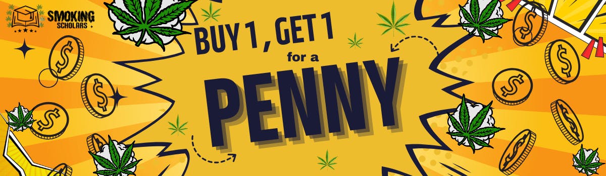 BUY 1 GET 1 FOR PENNY