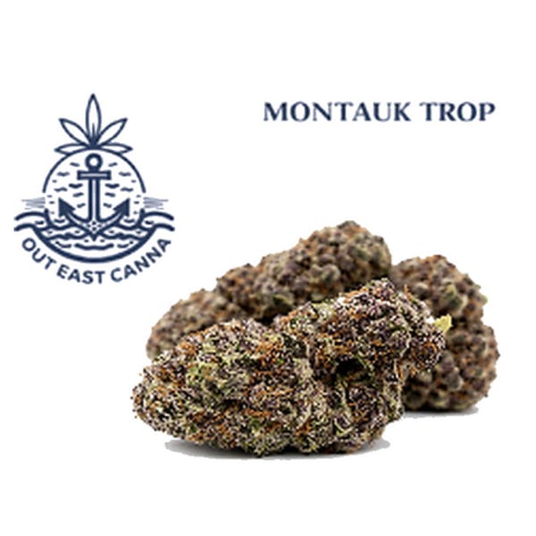 Out East Canna | Flower | Montauk Trop | Hybrid | 3.5g - 1/8oz in Deer Park