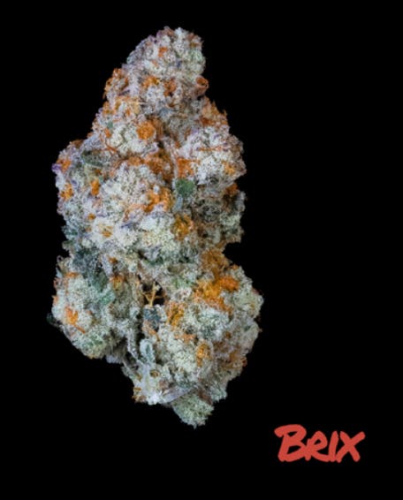 Brix 3.5g B Yo Flower (I) 00367 - 1/8oz in Putnam