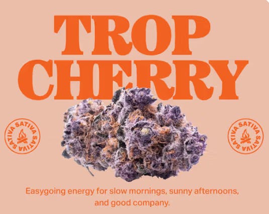 Let's Burn 3.5g Trop Cherry 0044 - 1/8oz in Putnam
