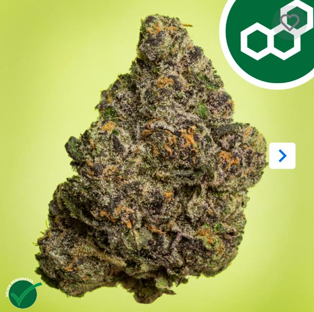 TheraPlant 3.5g Permanent Marker 41958 - 3.5g in Putnam