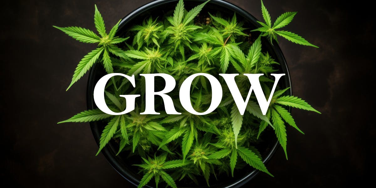 Grow