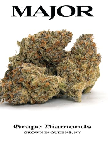 Major | Grape Diamonds | Flower | Hybrid | 3.5g