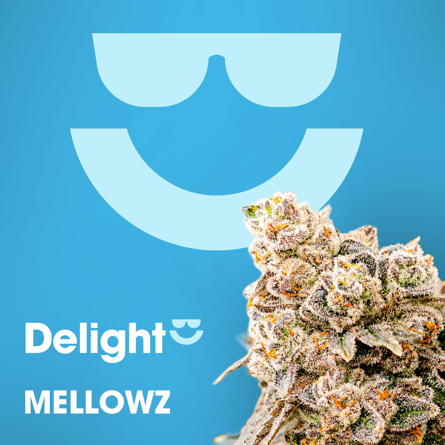 MellowZ | 3.5g