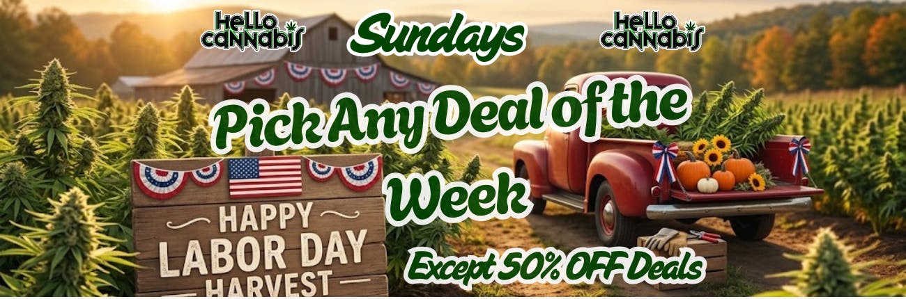 Sundays - Pick Any Deal of the Week