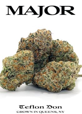 Major | Teflon Don | Flower | Hybrid | 3.5g