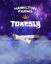 Kush Berry Burger / Pre-roll / 1G