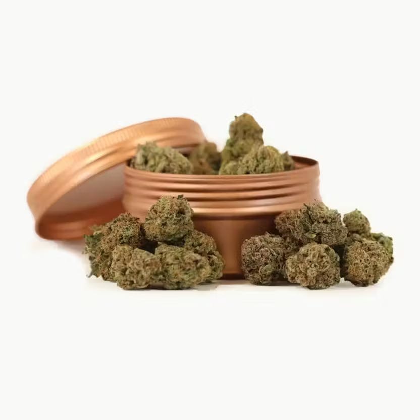 Jack Herer