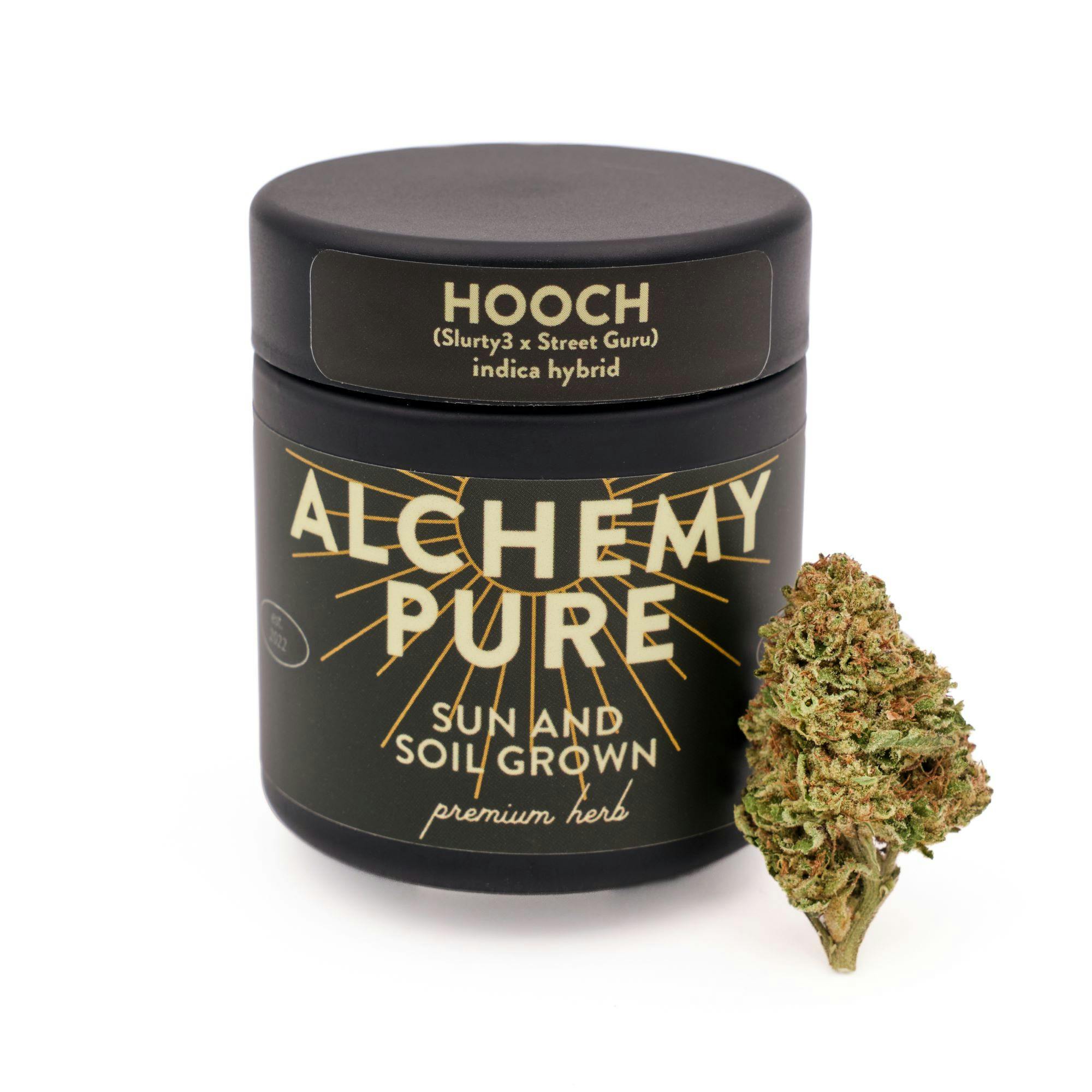 Hooch