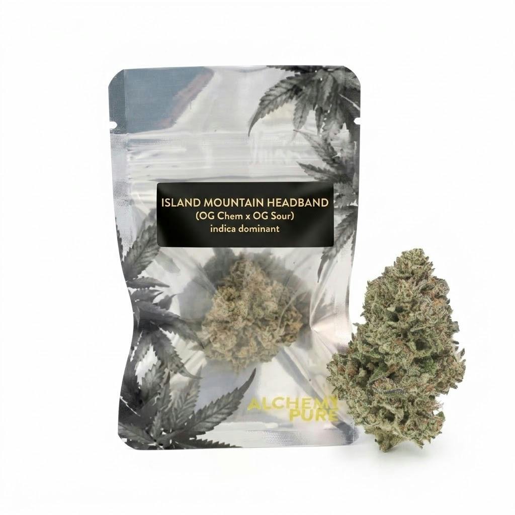 Island Mountain Headband