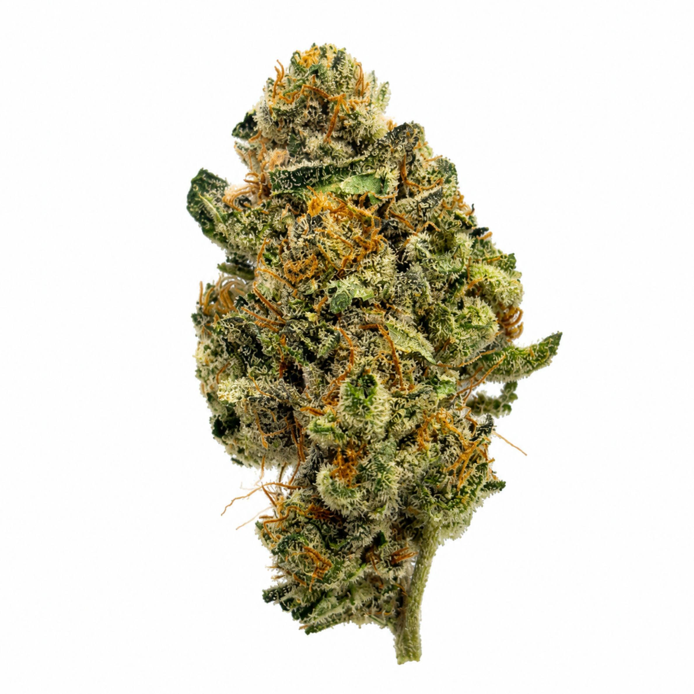Banana Hammock #1 3.5g-82 - 1/8oz in Providence