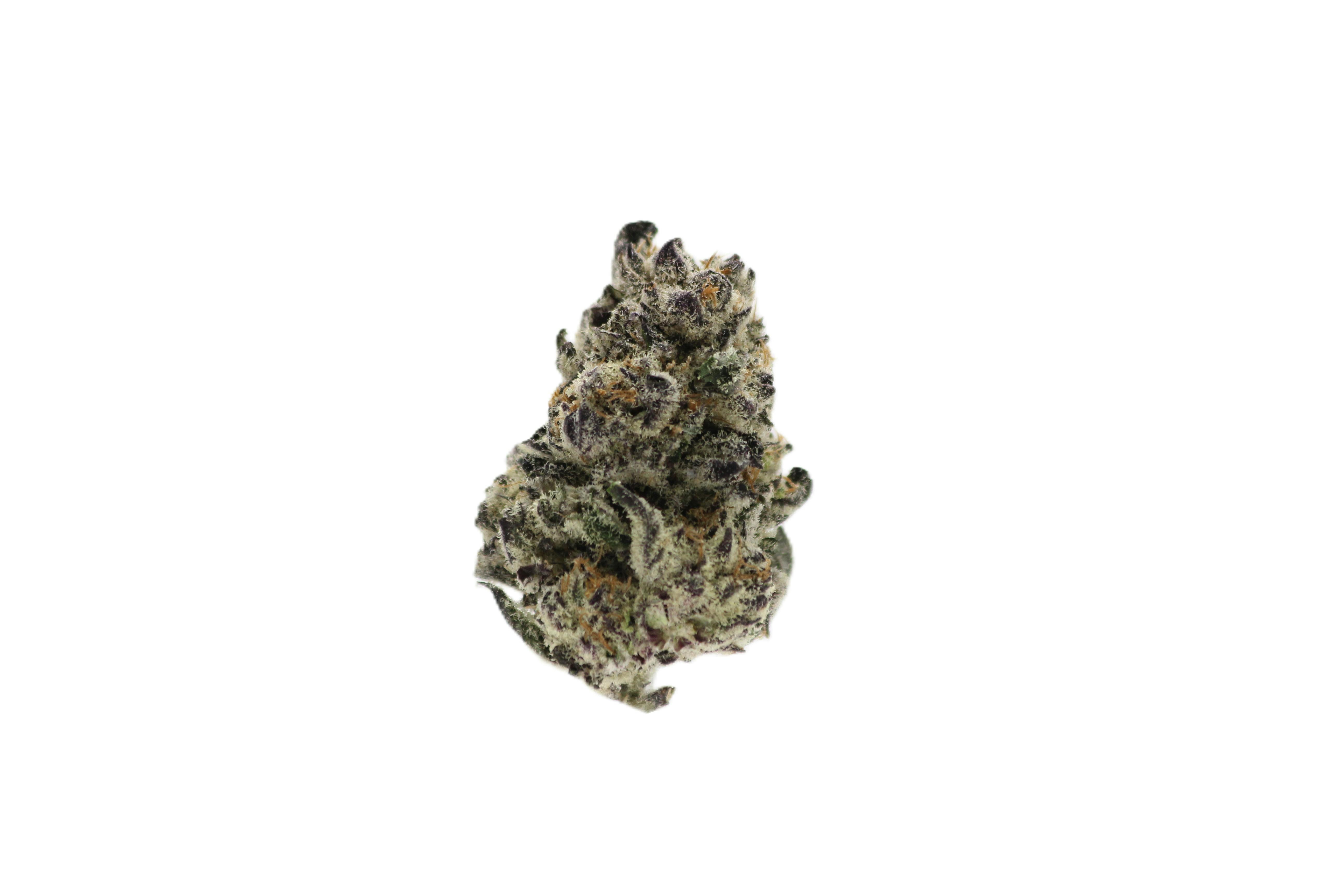 Cappuccino #7  3.5g-98 - 3.5g in Providence