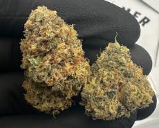 Lead Farmer | Pink Zugar | Flower | Hybrid | 3.5g