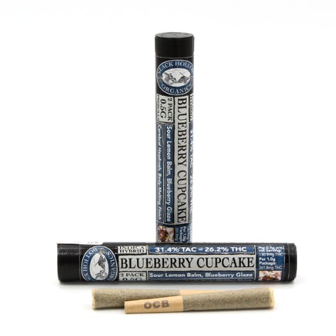 Slack Hollow | Blueberry Cupcake | 2pk Preroll | IndHyb | 1g